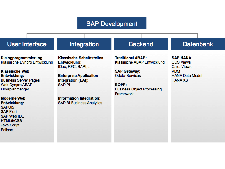 SAP Development